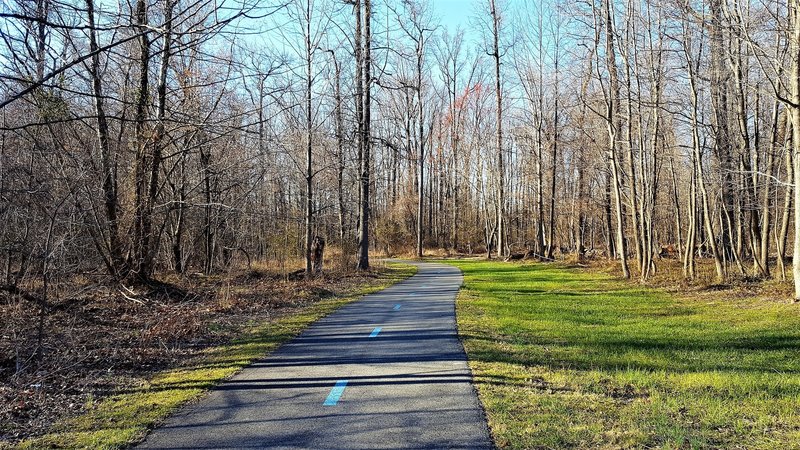 The Paint Branch Trail offers the solitude of a walk in the woods just minutes from Route 1 and Cherry Hill Rd.