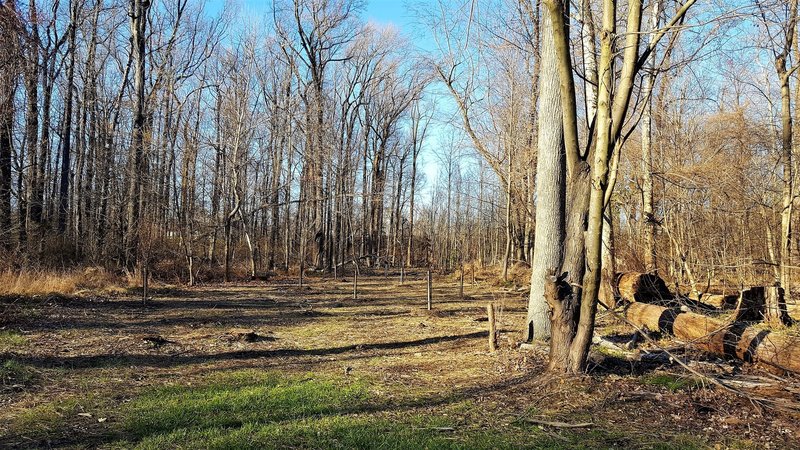 A restoration project is underway! The trail was badly damaged a few years ago by a tornado.