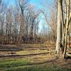 A restoration project is underway! The trail was badly damaged a few years ago by a tornado.