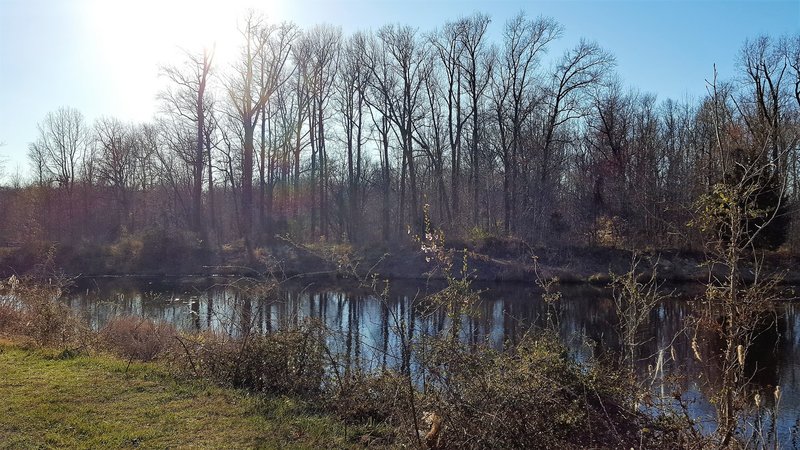 This is the pond at the northern terminus of the trail. What beauty exists so close to the Beltway!