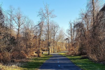 "Two roads diverged in a wood" and the one on the left headed back to Route 1 while the one on the right continued toward the University of Maryland and Lake Artemesia.