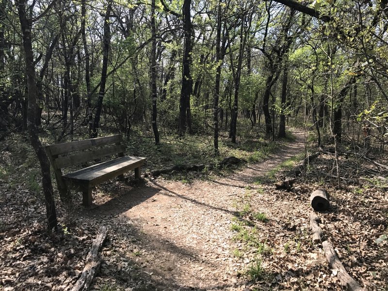 Numerous park benches let you sit and rest during a long hike in the woods.