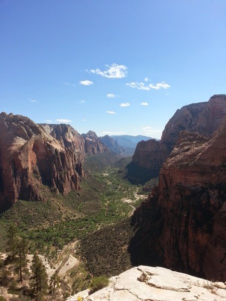 Angel's Landing is a must-see in Zion National Park.