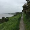 Heading out on the Benicia Bay Trail toward Dillon Point, enjoy pleasant coastal views.