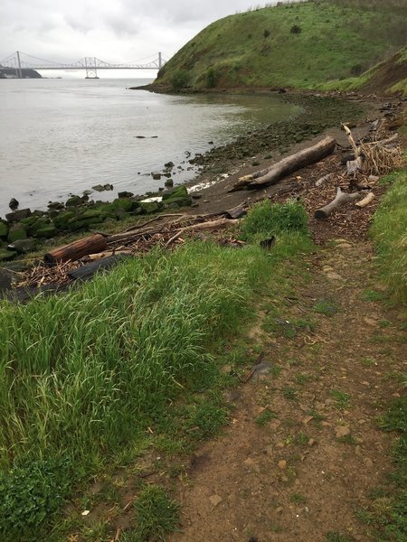 Dillon Point Trail offers great access to the beach and scenic views of the bay.