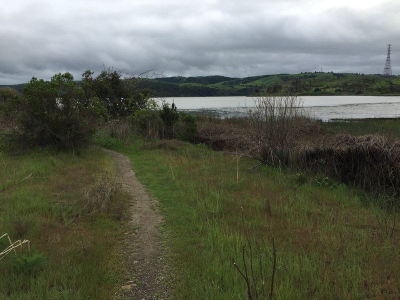 Soak up the pleasant bayside views from the trail.