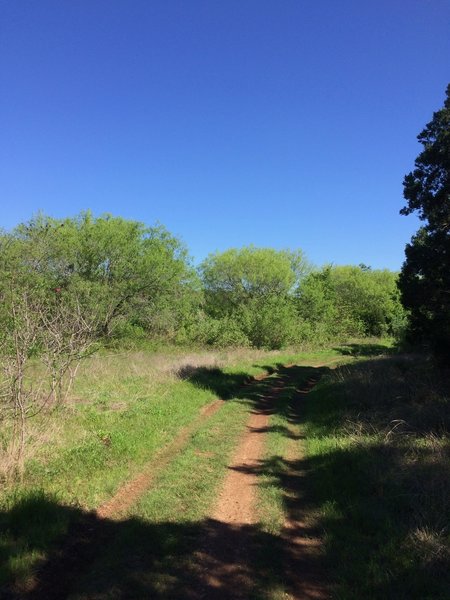 This is typical for the doubletrack portions of the trail as it goes along the freeway.