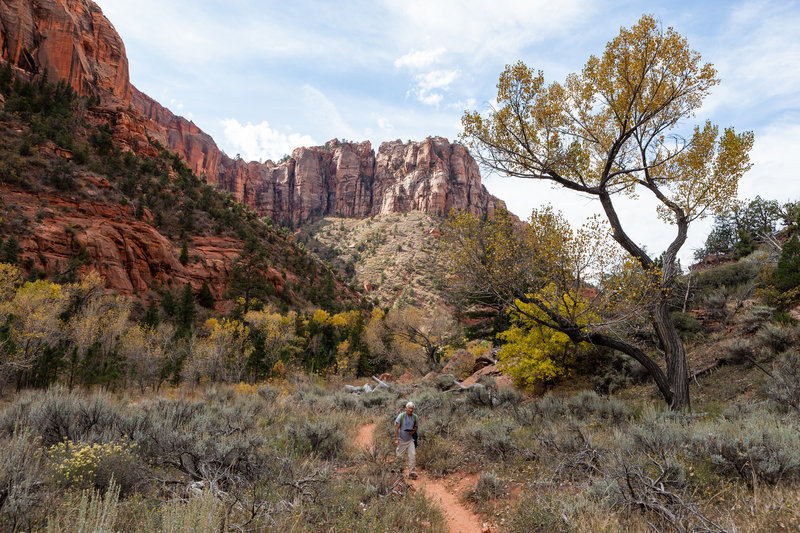 Enjoy phenomenal scenery on your way to Kolob Arch.