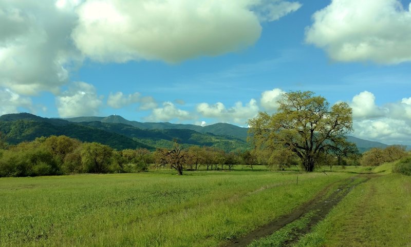 Along the Calero Creek Trail, take in the stunning views of the Santa Cruz Mountains and Mt. Umunhum in the distance.