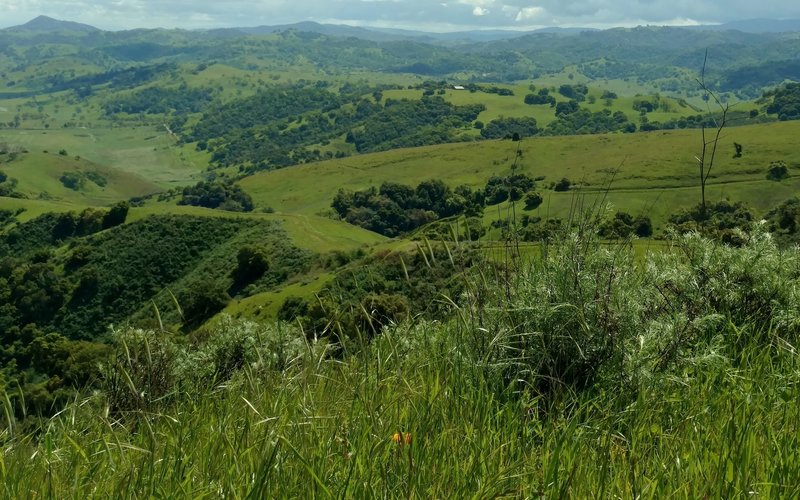 From high on the Boundary Trail, enjoy phenomenal views of the countryside south of San Jose.