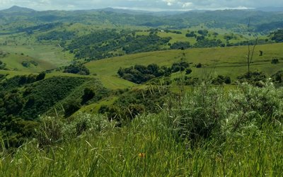 From high on the Boundary Trail, enjoy phenomenal views of the countryside south of San Jose.