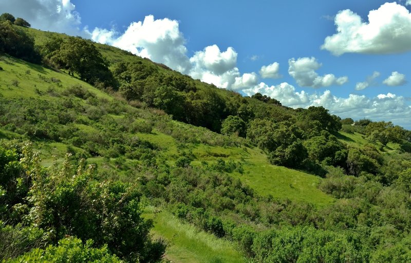 The Boundary Trail winds along a grass and brush-covered hillside.