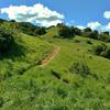 The Ohlone Trail winds along a grass hillside.