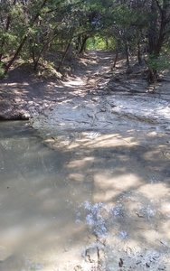At this point, the Tar Branch Creek Trail crosses over its namesake creek.