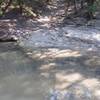 At this point, the Tar Branch Creek Trail crosses over its namesake creek.