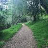 The Creekside Trail descends through a shaded oak grove.