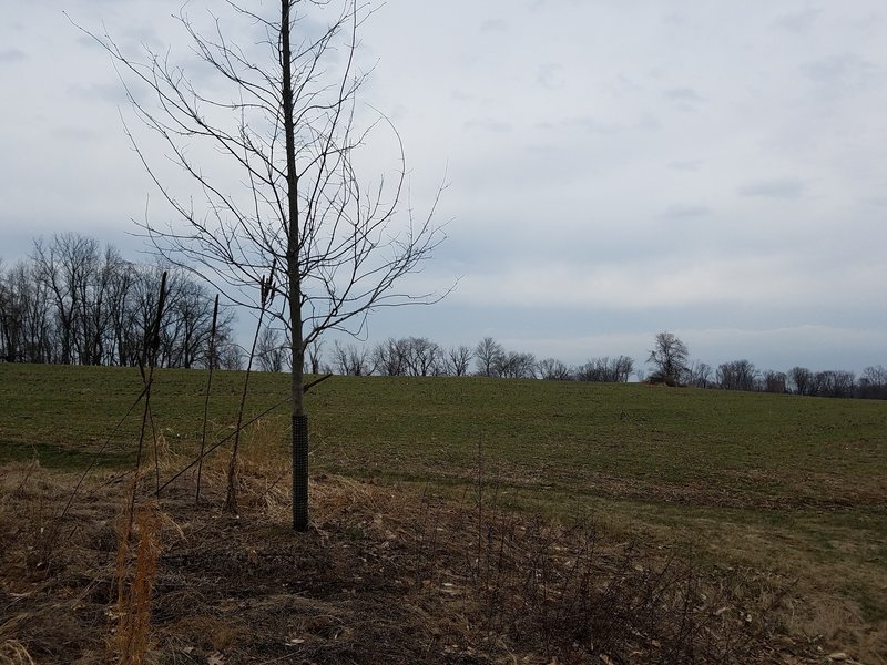 North Point Park is full of grassy fields.