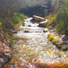 Kanarra Creek gurgles out of the canyon.