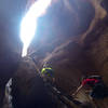 Our group ascends the ladder at Kanarraville Falls.