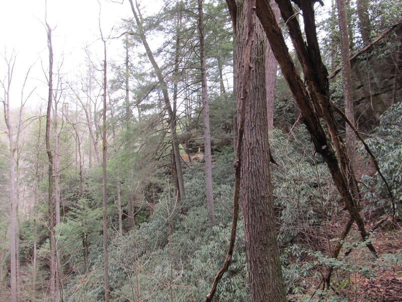 This is the view from the rock shelter behind Angel Windows.