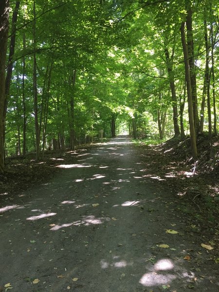 The Auburn Trail is truly beautiful.