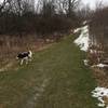 The uphill section of the Seneca Trail south of Boughton Hill Road.