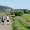 A pair and their pooch walk along the wide Calero Creek Trail.