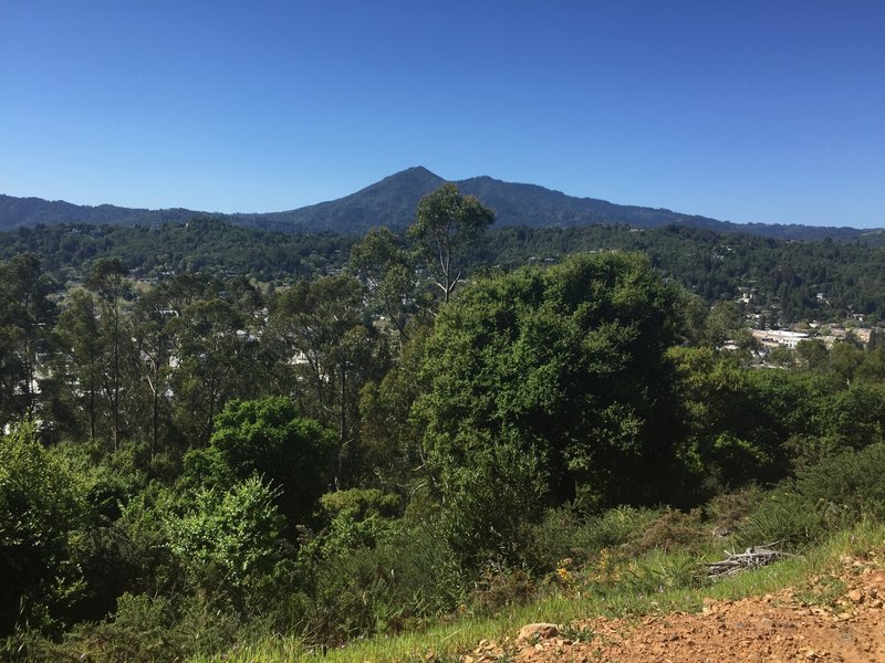 From the trail, take time to look over downtown San Rafael and Mt. Tam.