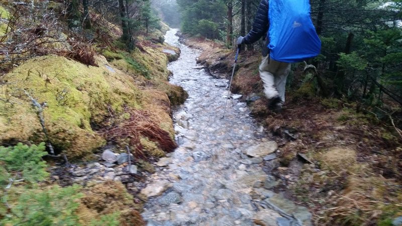 It was a wet trip back down the Rainbow Falls Trail!