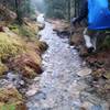 It was a wet trip back down the Rainbow Falls Trail!