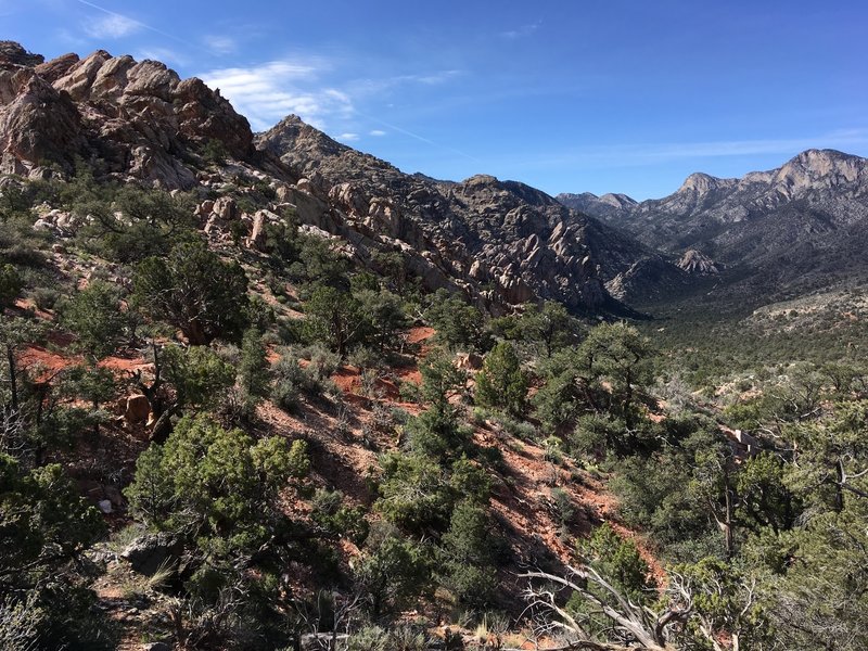 The view looking southwest from near the high point on the White Rock Loop is just gorgeous.