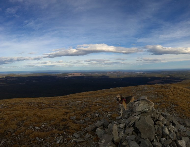 The top of Coliseum Mountain provides expansive views.