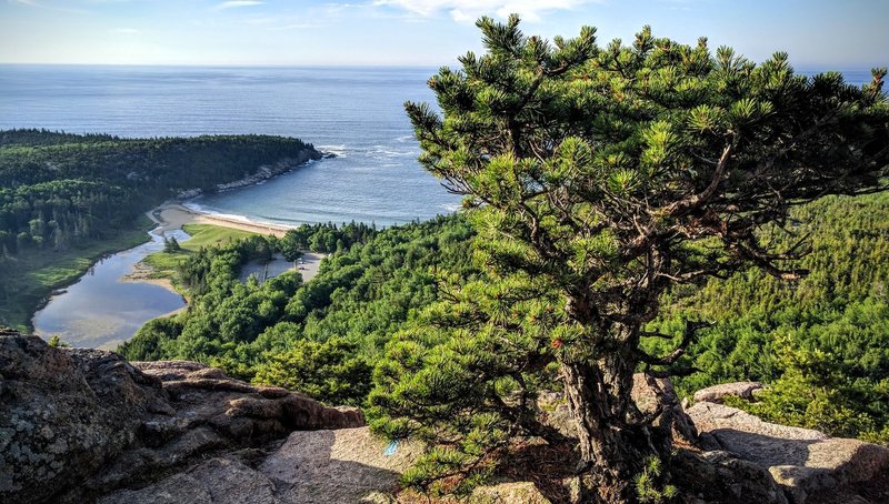 While plenty steep, the Beehive Trail rewards you with phenomenal views looking down on Sand Beach.