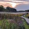 A few steps onto the Appalachian Trail Boardwalk and this view already makes it a perfect morning.