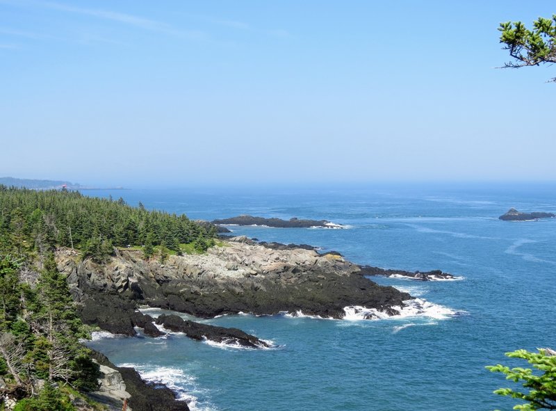 Off the Coastal Trail, look closely in the forest on the left to see the tip of West Quoddy Head Lighthouse.