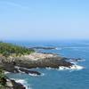 Off the Coastal Trail, look closely in the forest on the left to see the tip of West Quoddy Head Lighthouse.