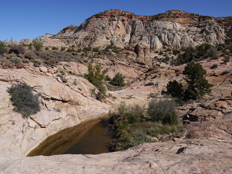 Along Upper Boulder Creek, you're bound to see potholes filled with water after wet weather.