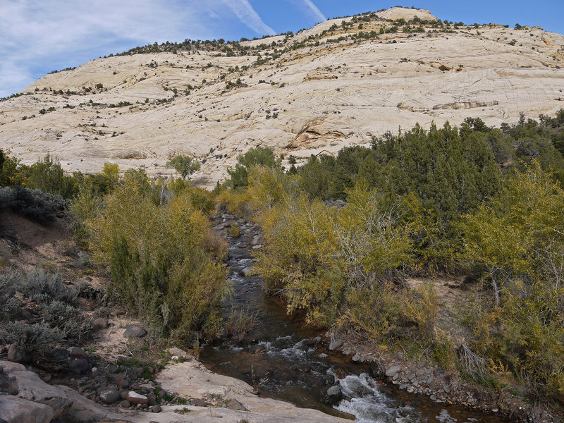 Boulder Creek ripples through the valley.