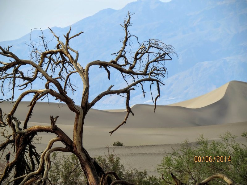 Mesquite Flat Sand Dunes are great fun to explore.