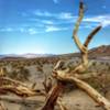 Mesquite Flat Sand Dunes are a must see on your trip to Death Valley National Park.