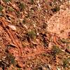 The South Kaibab Trail switchbacks its way up the steep canyon walls.