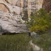 A backpacker makes his way through Mormon Tea in Lower Death Hollow.