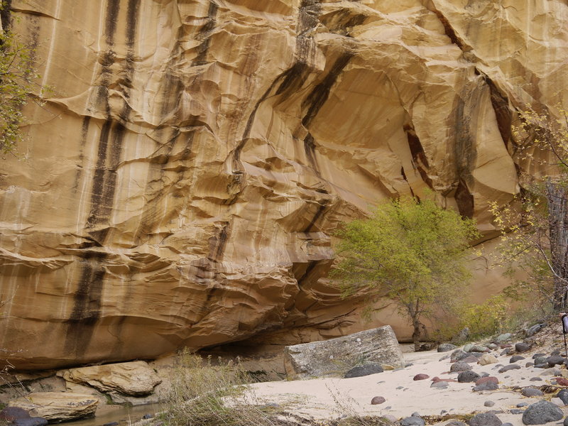 This beautiful sandstone alcove is worth checking out in Lower Death Hollow.