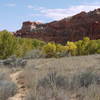 Vibrant autumn leaves greet us as we approach Escalante Natural Bridge.