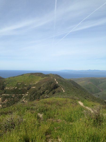 Oats Peak offers a great view of the Pacific Ocean.