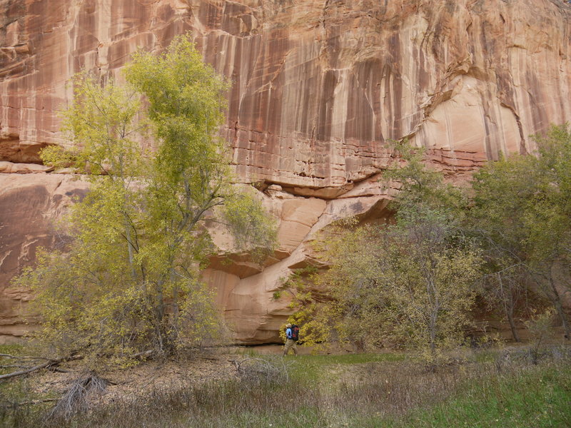 Steep canyon walls constrain your hiking along the Escalante River.