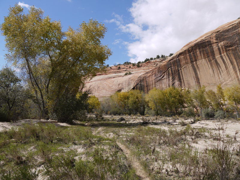 The Escalante Riverbed is nestled within these tall sandstone walls.