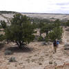 My hiking companion makes his way down McGath Point Bench near the start of the Boulder Mail Trail.