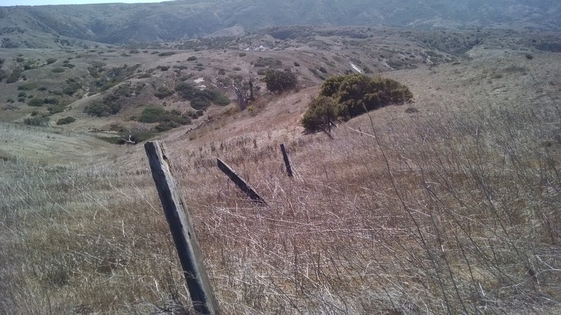 On the way to Potato Harbor, enjoy the rolling hills and flowing grasslands of Santa Cruz Island.