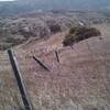 On the way to Potato Harbor, enjoy the rolling hills and flowing grasslands of Santa Cruz Island.